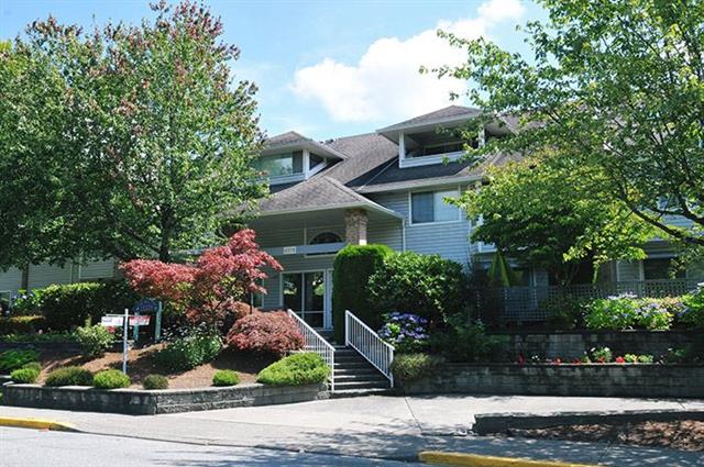 The Willows   --   11578 225 ST - Maple Ridge/East Central #1