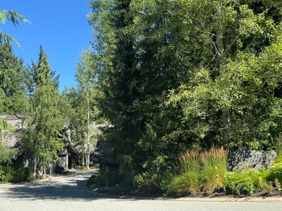 Forest Creek   --   4668 Blackcomb Way - Whistler/Benchlands