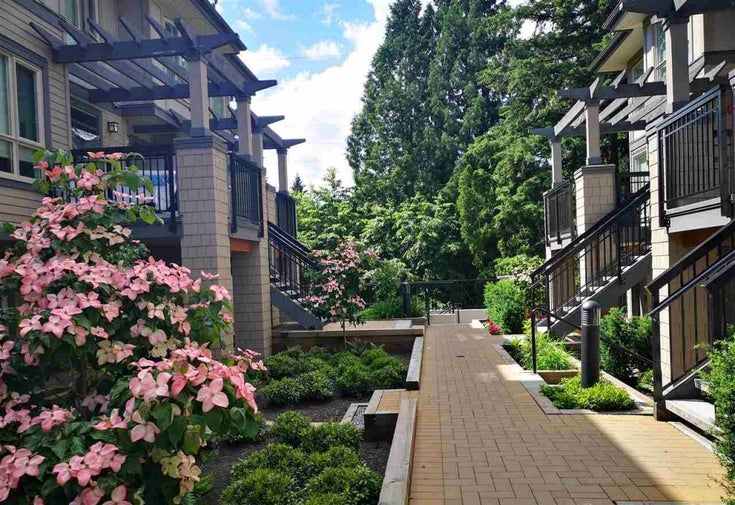 Cameron   --   3201 - 3231 Noel Dr - Burnaby North/Sullivan Heights