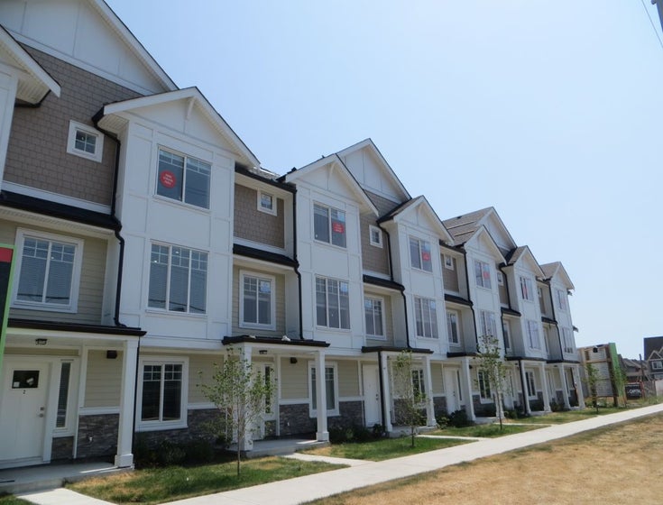 Boxwood   --   7056 192 St - Cloverdale/Clayton