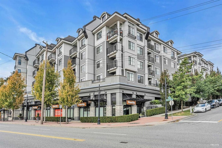 Mackin Park by Bluetree Homes   --   202 LeBleu Street - Coquitlam/Maillardville