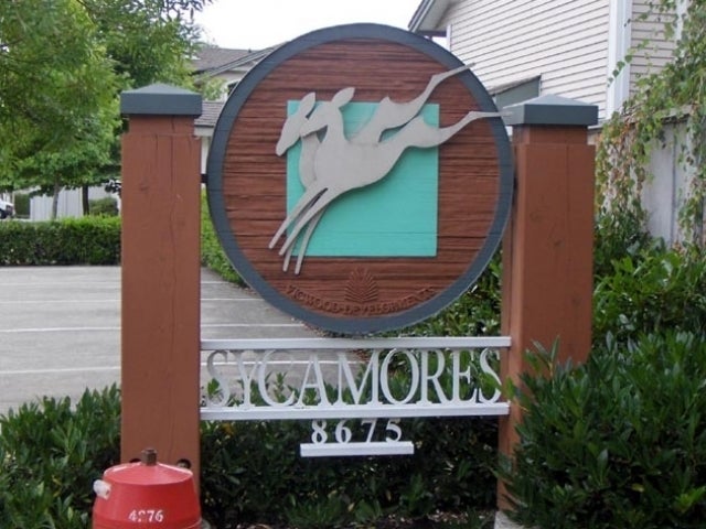 Sycamores   --   20820 87 Ave - Langley/Walnut Grove