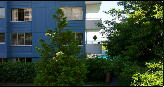 Wedgewood Terrace   --   1730 DUCHESS AV - West Vancouver/Ambleside #4