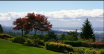 Panorama Gardens   --   2236 - 2250 FOLKESTONE WY - West Vancouver/Panorama Village #6