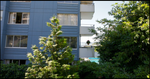 Wedgewood Terrace   --   1730 DUCHESS AV - West Vancouver/Ambleside #6