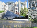 The Maples   --   2585 WARE ST - Abbotsford/Central Abbotsford #1