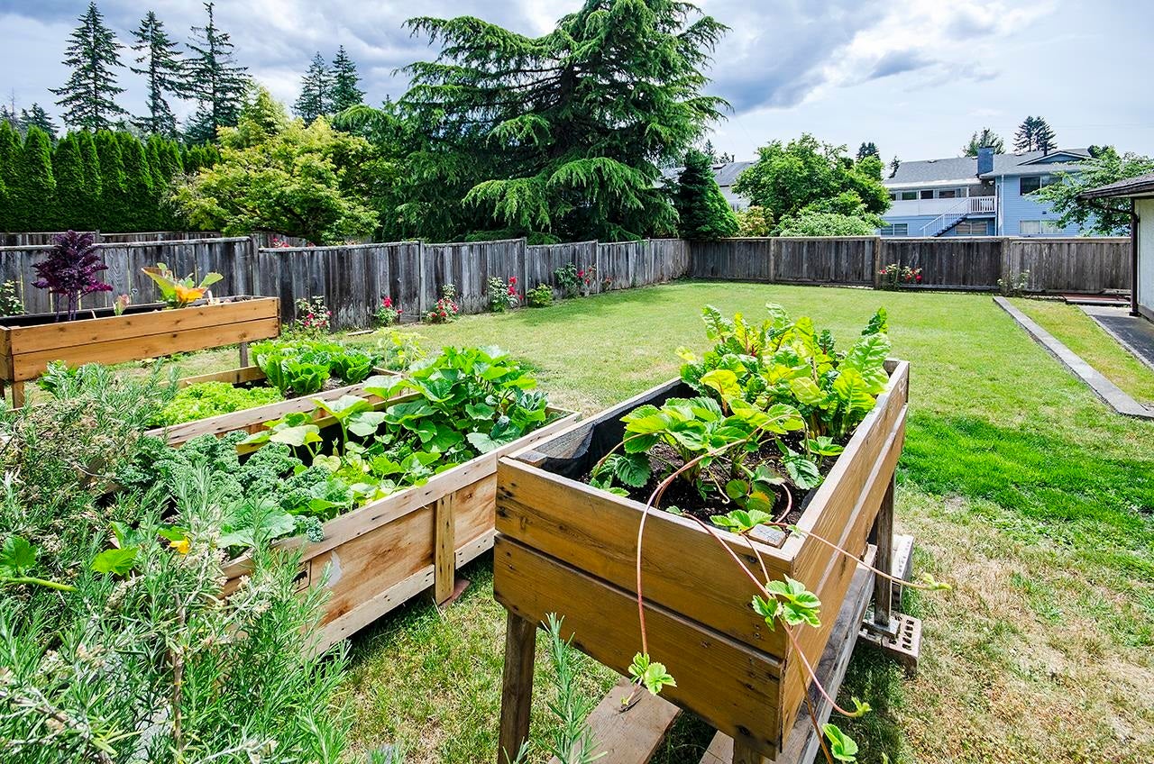 718 Foster Avenue - Coquitlam West Single Family Residence for Sale, 3 Bedrooms (R3019454) #33