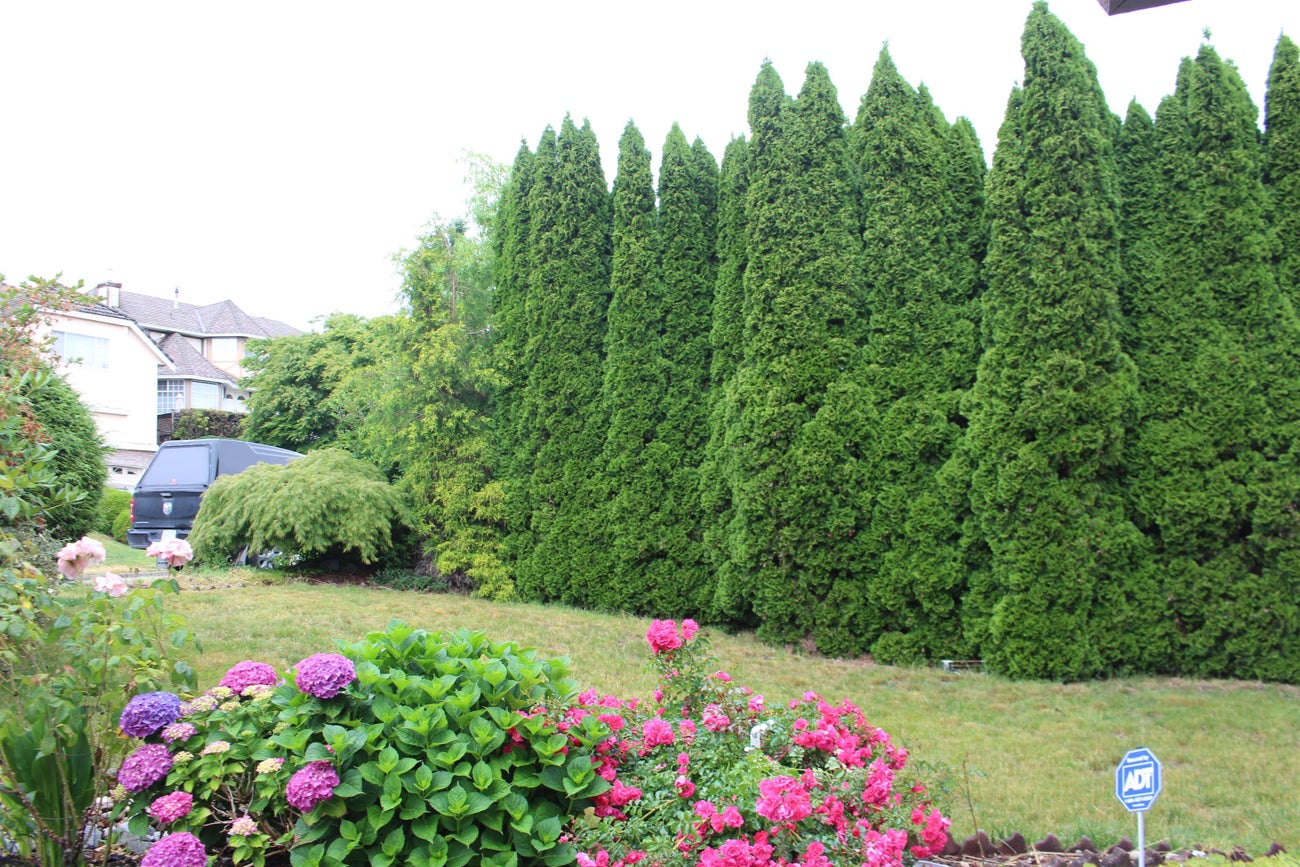 2254 Sorrento Drive - Coquitlam East Single Family Residence for Sale, 5 Bedrooms (R3020285) #3