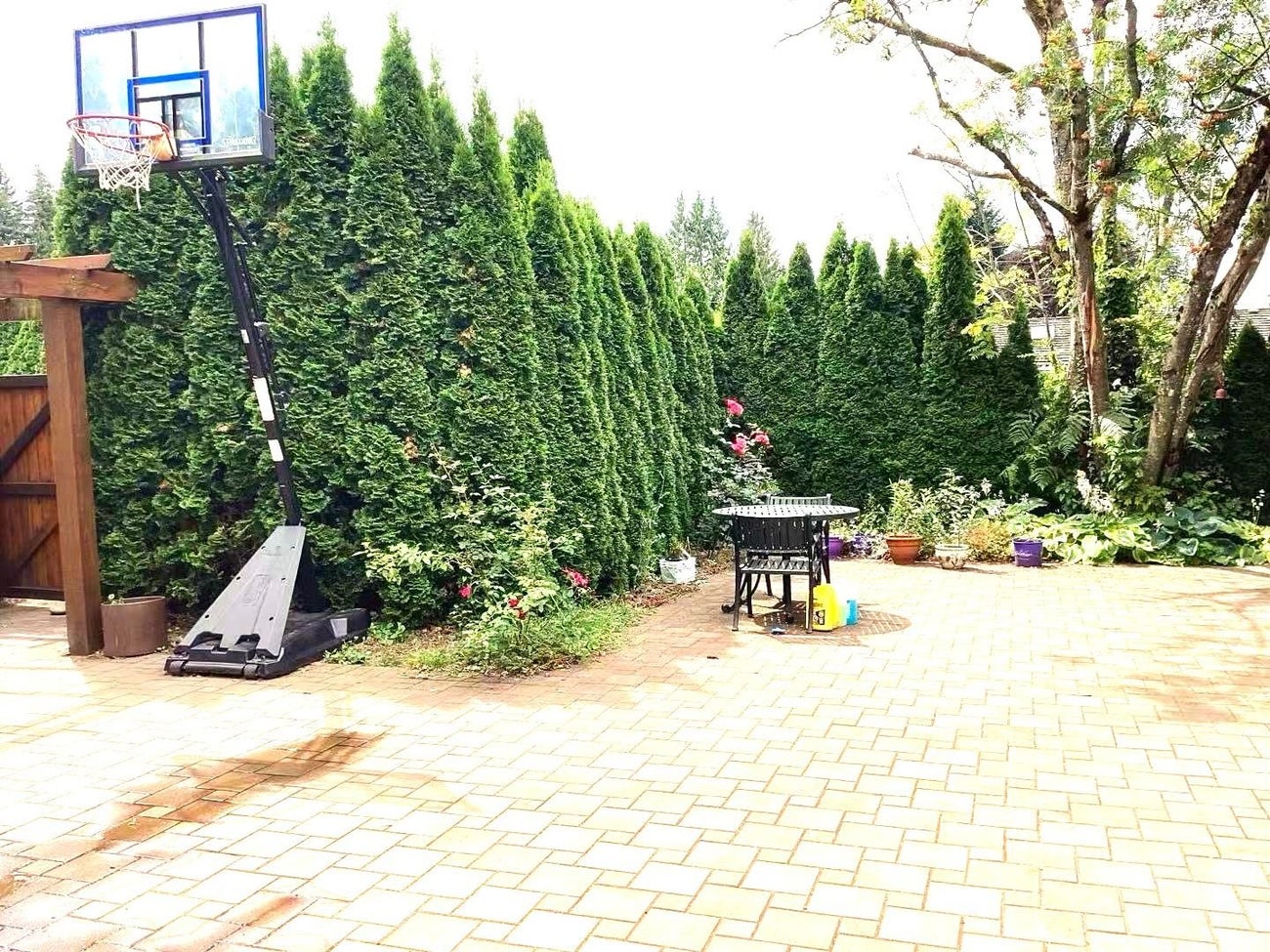 1730 Austin Avenue - Central Coquitlam Single Family Residence for Sale, 6 Bedrooms (R3022731) #14