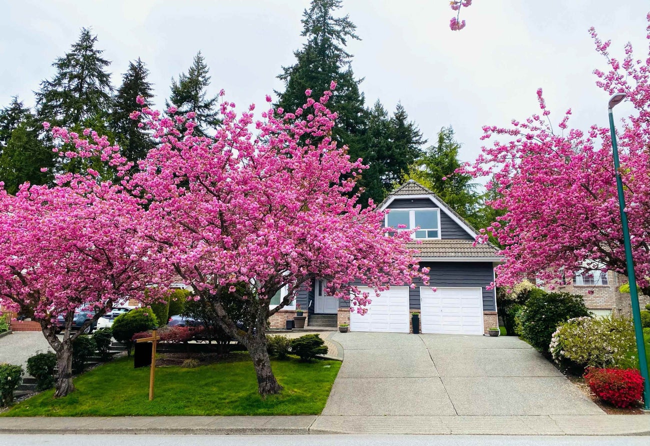 2443 Leclair Drive - Coquitlam East Single Family Residence for Sale, 6 Bedrooms (R3030001) #5