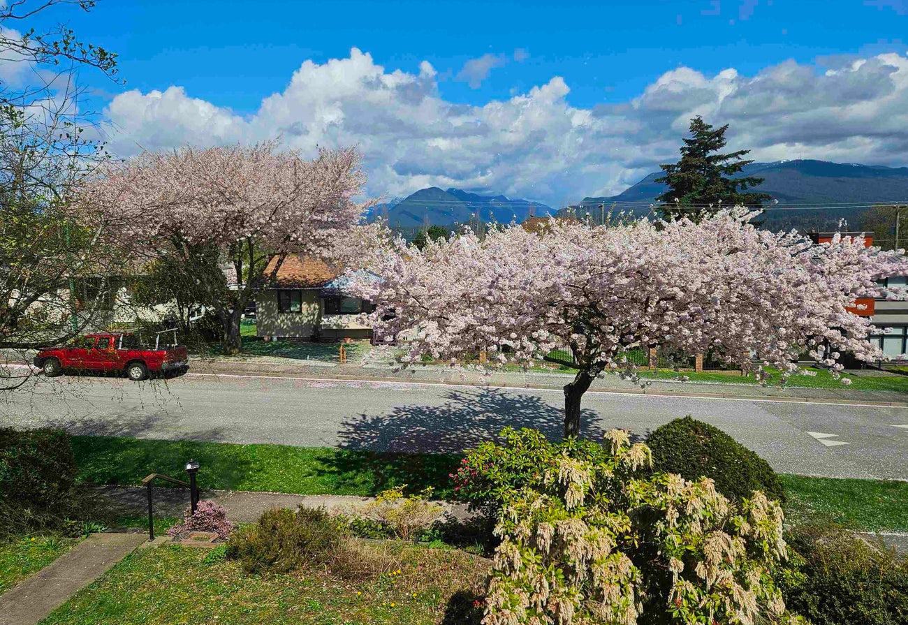 4362 Cambridge Street - Vancouver Heights Single Family Residence for Sale, 5 Bedrooms (R3039416)# - 40