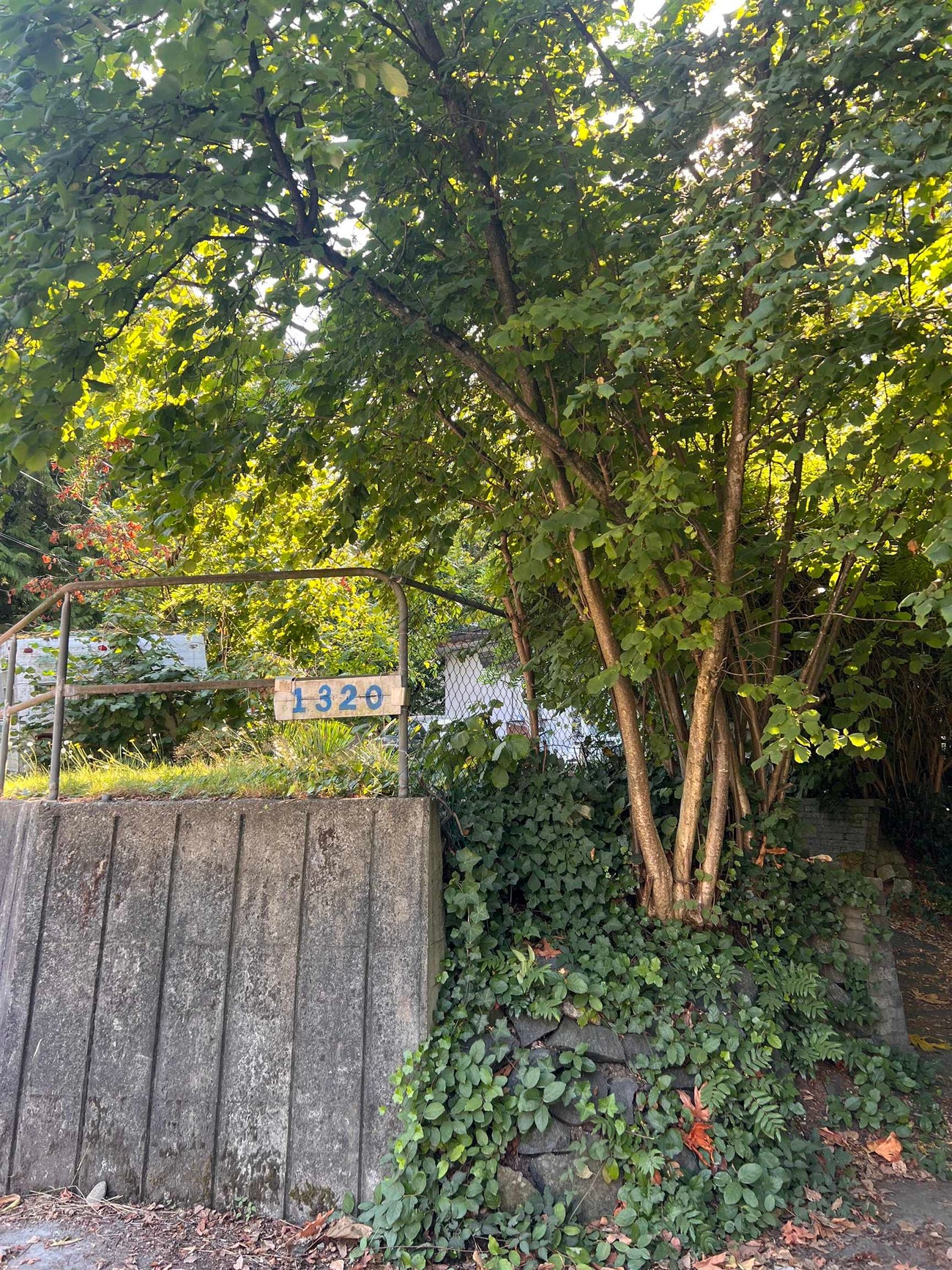 1320 Austin Avenue - Central Coquitlam Single Family Residence for Sale, 4 Bedrooms (R3050648) #7