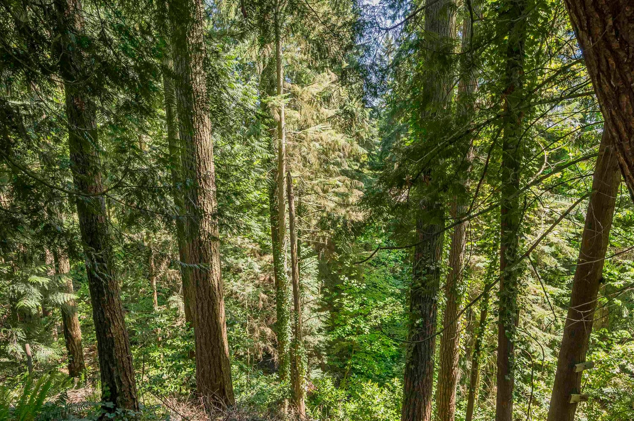 1168 Charland Avenue - Central Coquitlam Single Family Residence for Sale, 4 Bedrooms (R3052833)# - 39