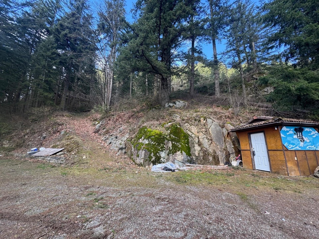 3099 Lougheed Highway - Mt Woodside Land(R3096561)# - 16