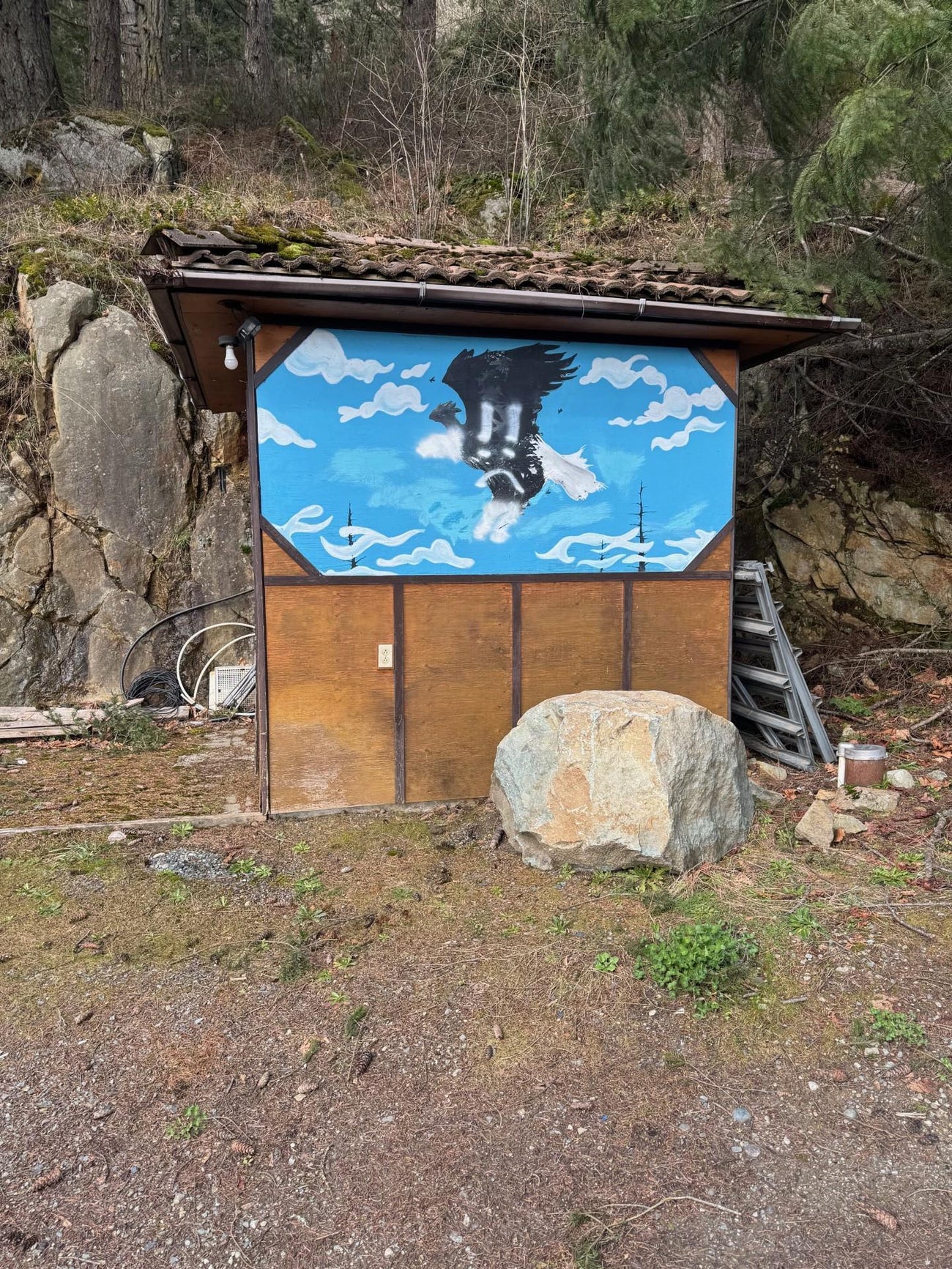 3099 Lougheed Highway - Mt Woodside Land(R3096561)# - 17