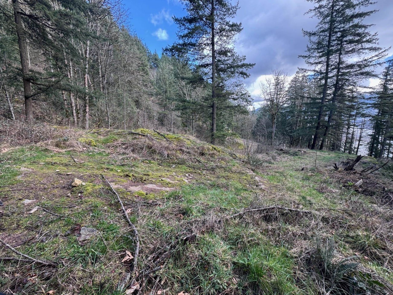 3099 Lougheed Highway - Mt Woodside Land(R3096561)# - 22