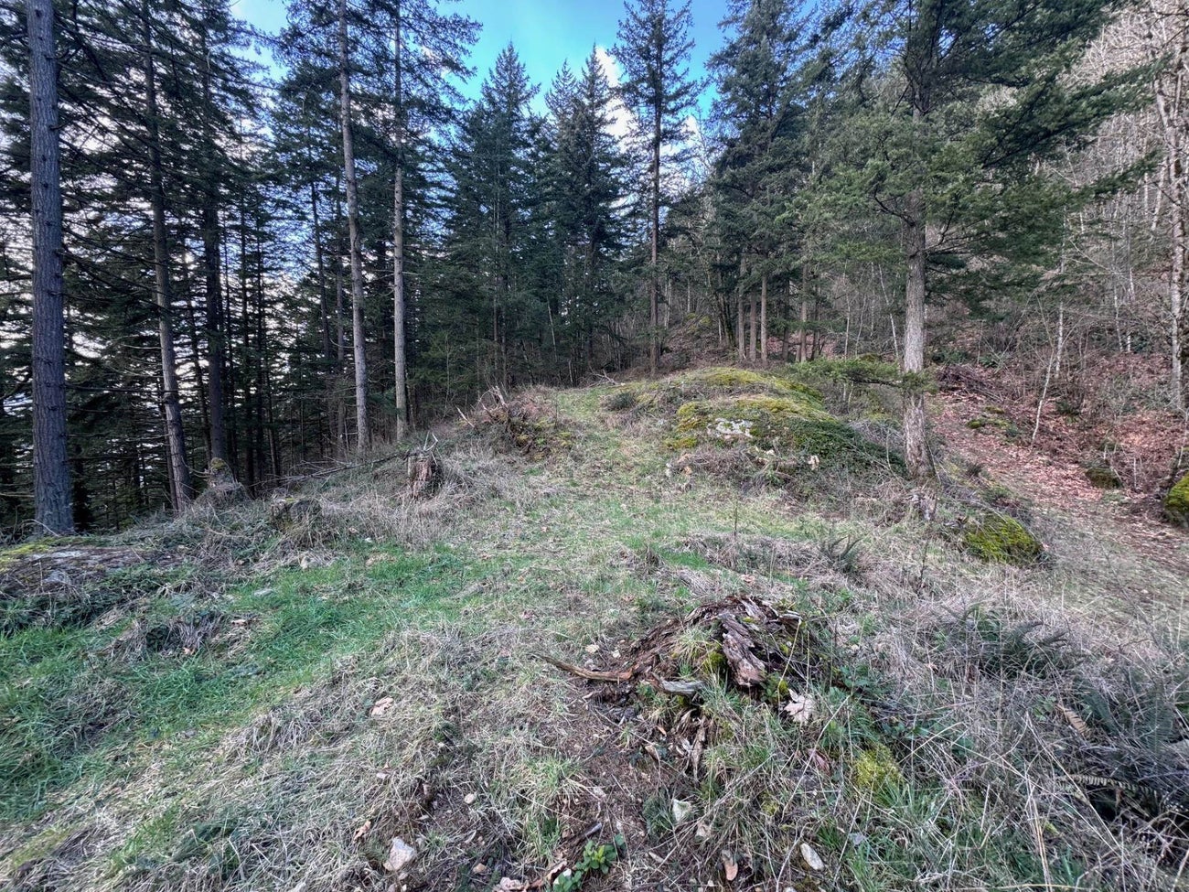 3099 Lougheed Highway - Mt Woodside Land(R3096561)# - 23