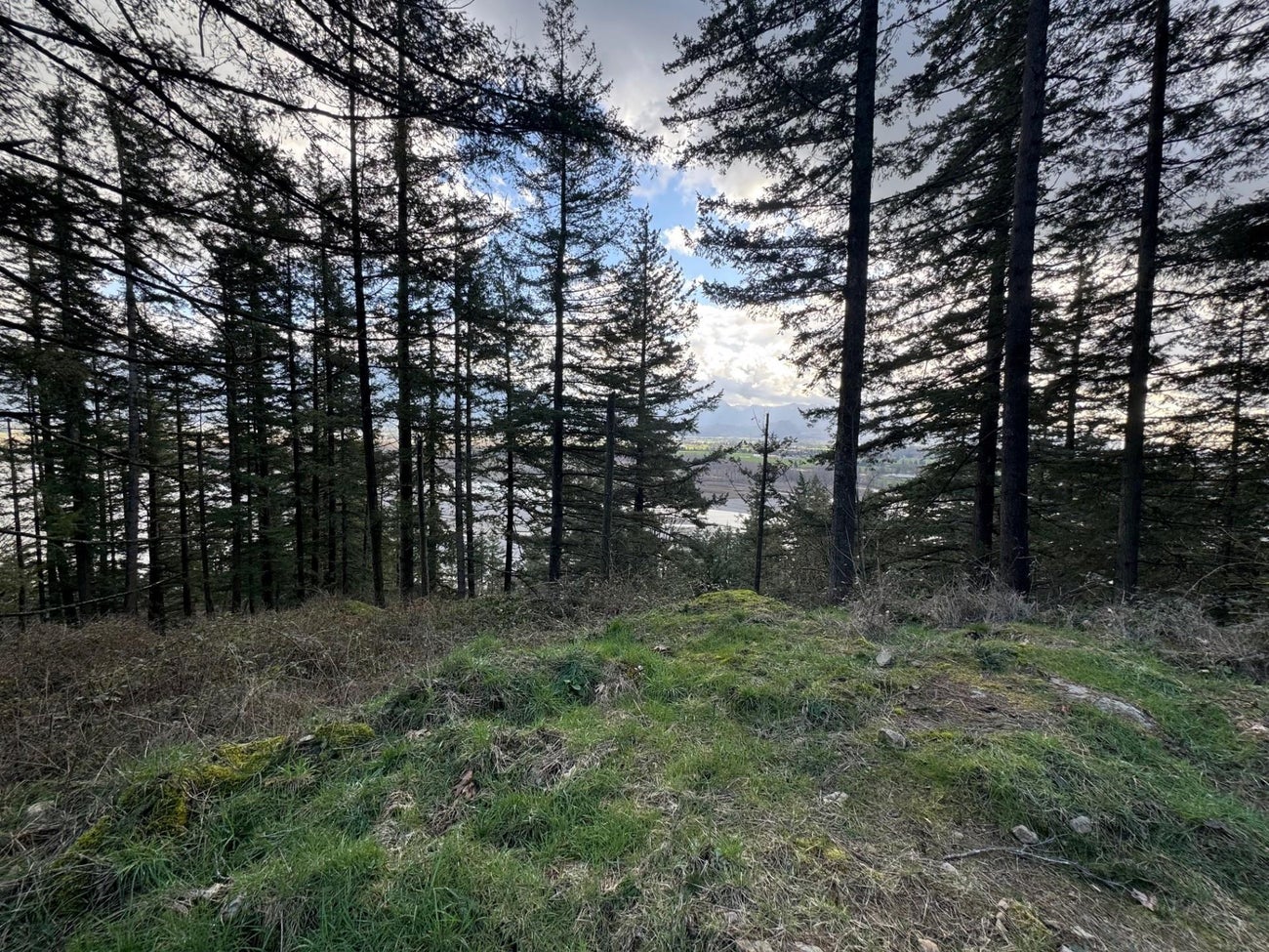 3099 Lougheed Highway - Mt Woodside Land(R3096561)# - 25