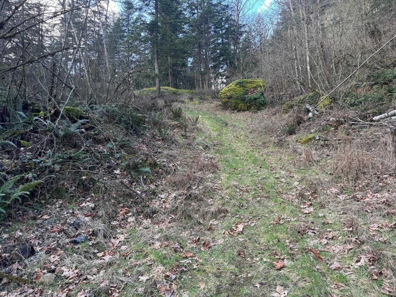 3099 Lougheed Highway - Mt Woodside Land(R3096561)# - 27
