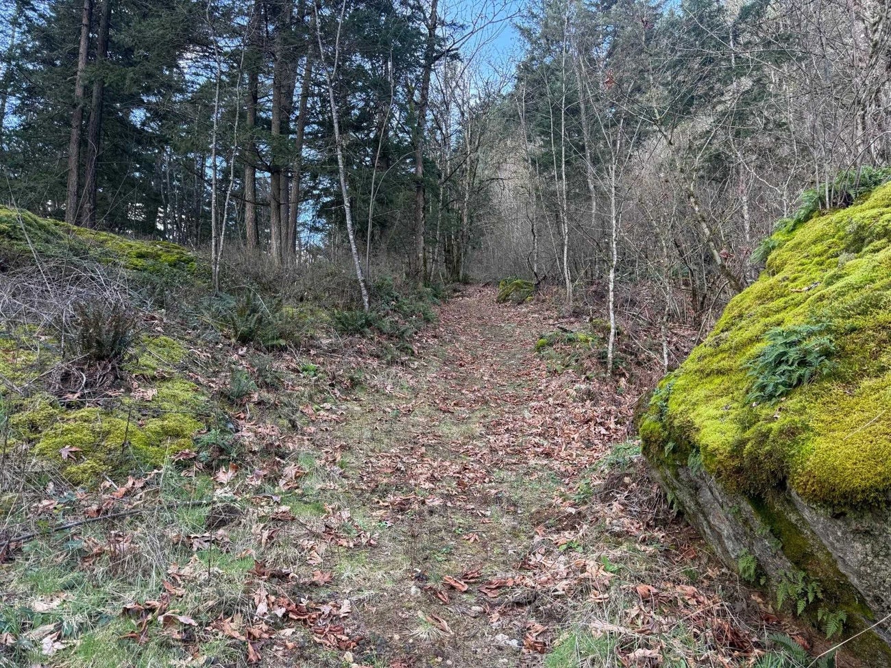 3099 Lougheed Highway - Mt Woodside Land(R3096561)# - 28