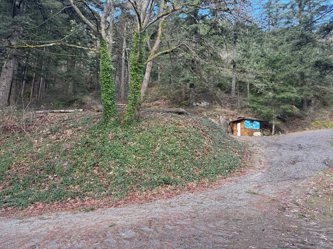 3099 Lougheed Highway - Mt Woodside Land(R3096561)# - 8