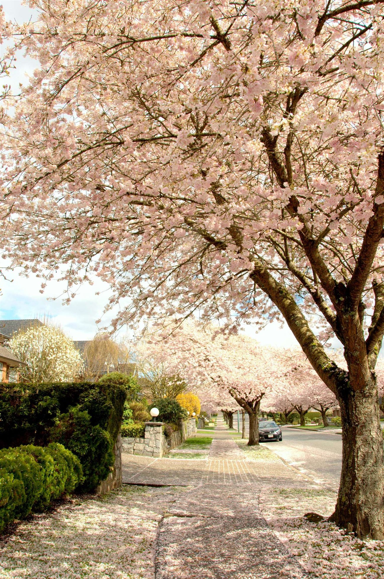 6823 Grant Place - Sperling-Duthie Single Family Residence for Sale, 5 Bedrooms (R3102506)# - 21