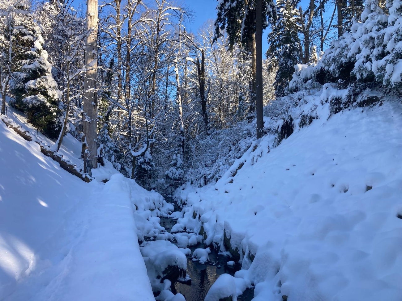 794 Adiron Avenue - Coquitlam West Single Family Residence for Sale, 5 Bedrooms (R3111268)# - 26