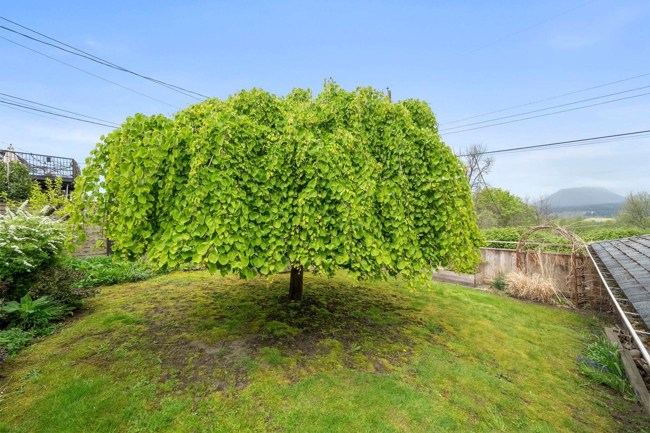 3765 Edinburgh Street - Vancouver Heights single-family-residence for Sale, 5 Bedrooms (R3116199)# - 30