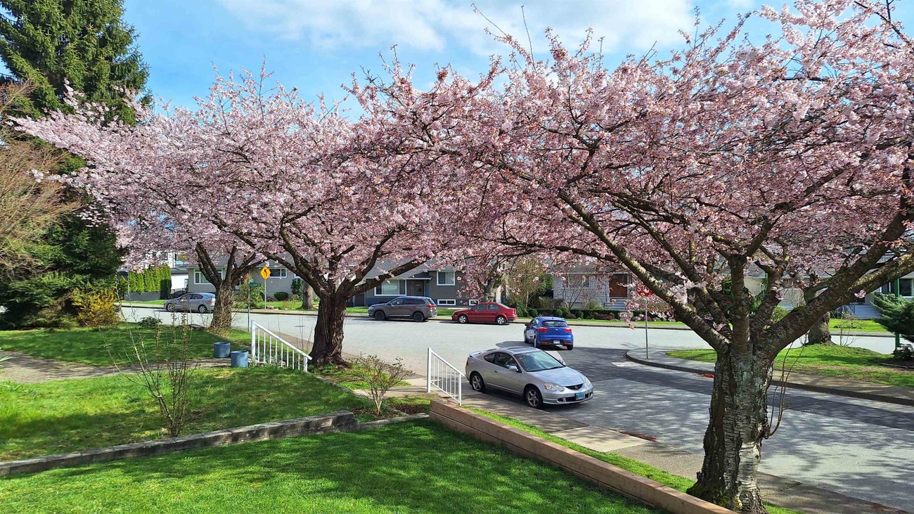 4545 William Street - Brentwood Park Single Family Residence for Sale, 3 Bedrooms (R3129442)# - 2 4545 William Street - Brentwood Park Single Family Residence for Sale, 3 Bedrooms (R3129442)# - 2