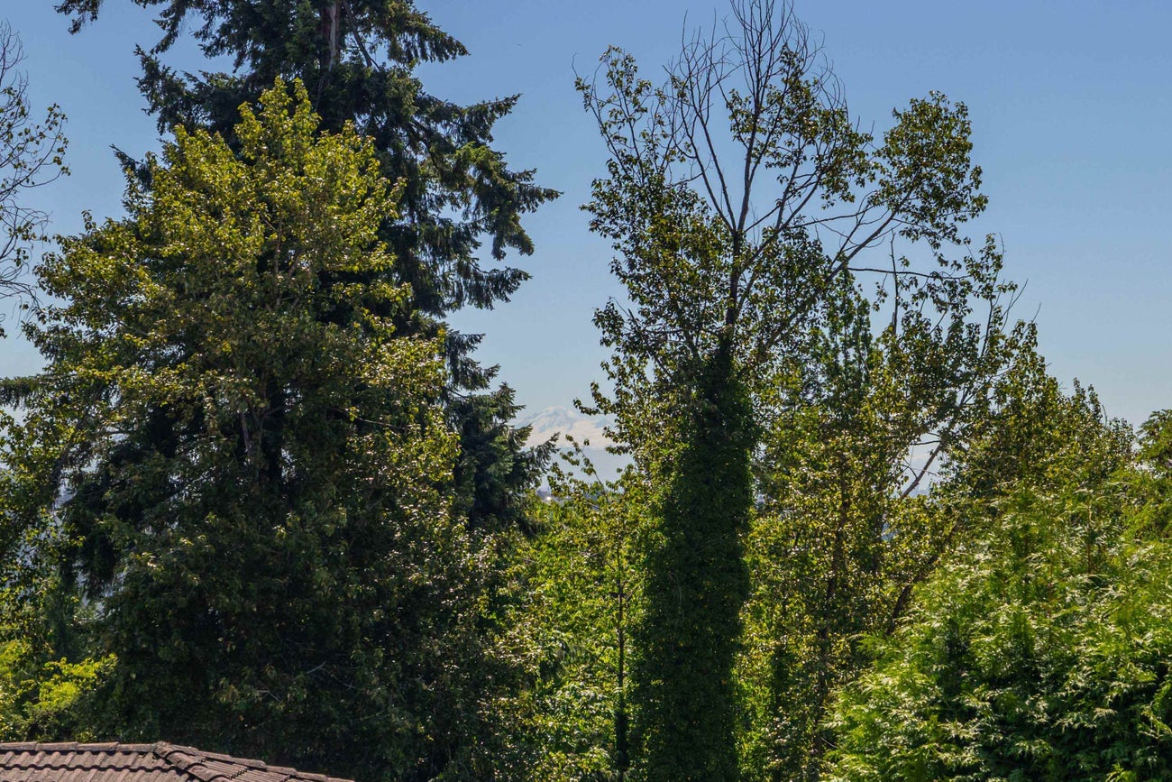 455 Alouette Drive - Coquitlam East Single Family Residence for Sale, 6 Bedrooms (R3140538)# - 34
