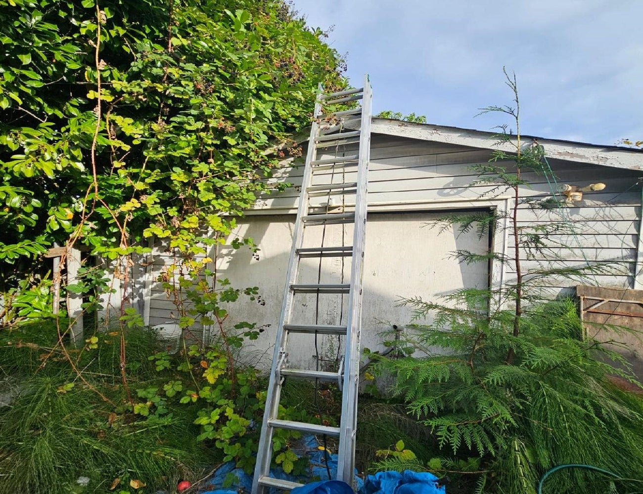 712 Gauthier Avenue - Coquitlam West Single Family Residence for Sale, 2 Bedrooms (R3149624)# - 7