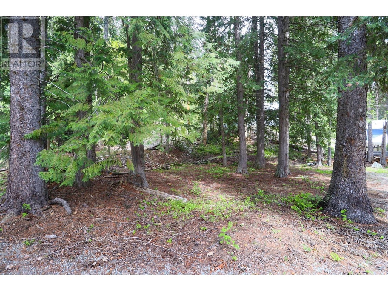 2860 Jewel Lake Road - Jewel Lake House for Sale, 1 Bedroom (10342645) #56