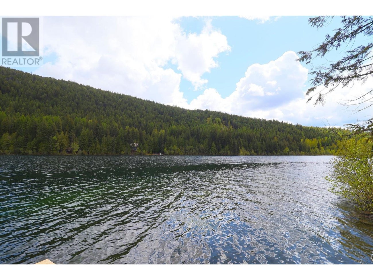 2860 Jewel Lake Road - Jewel Lake House for Sale, 1 Bedroom (10342645) #6