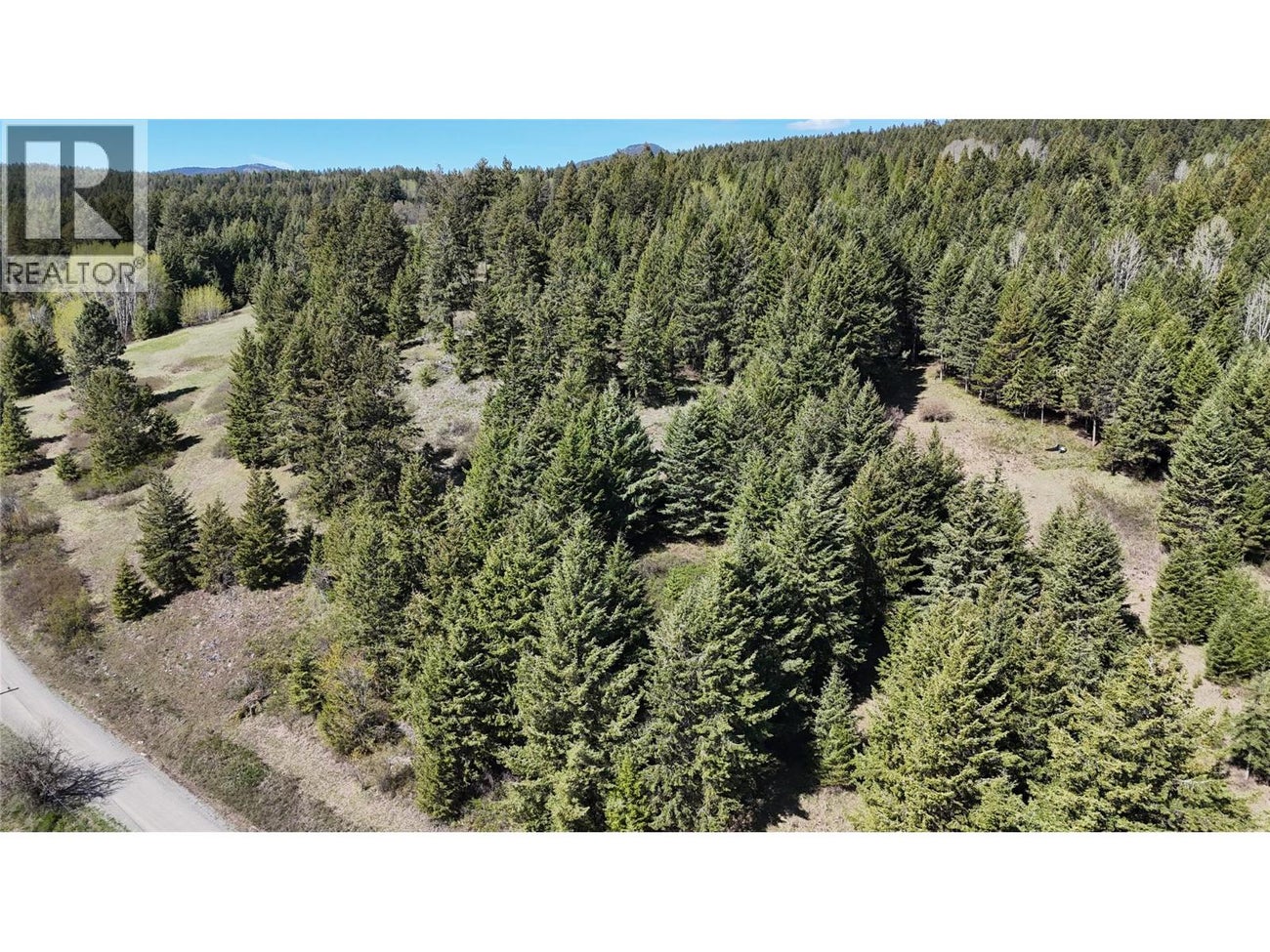 5200 Hardy Mountain Road - Grand Forks House for Sale, 3 Bedrooms (10384876)# - 7