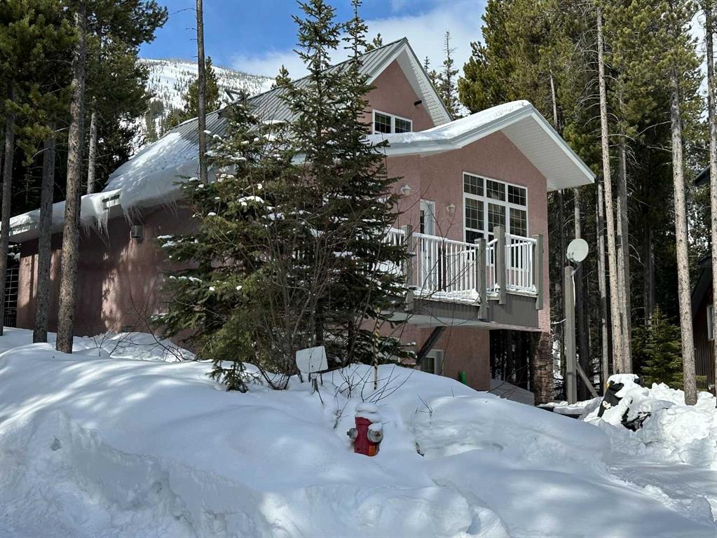 78 Barnaby View  - Castle Mountain Resort Detached for Sale, 5 Bedrooms (A2179732) #1