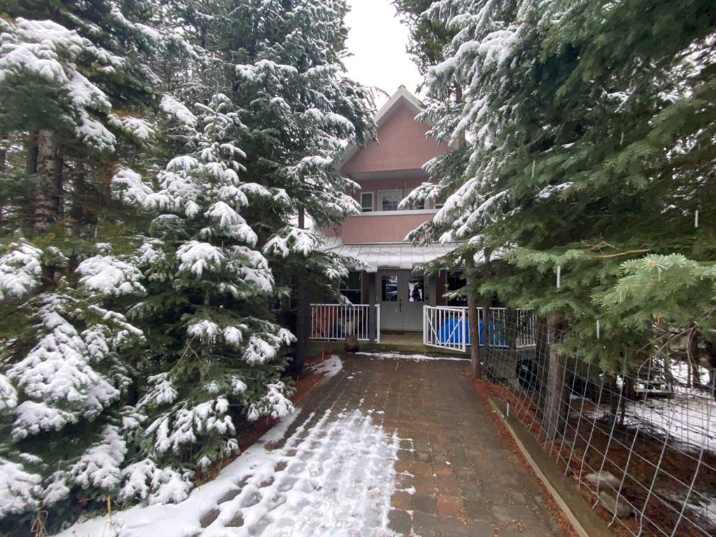 78 Barnaby View  - Castle Mountain Resort Detached for Sale, 5 Bedrooms (A2179732) #2