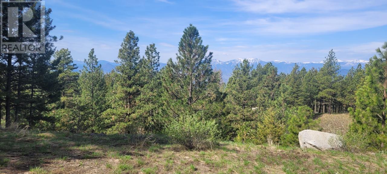 LOT 4 PEREGRINE Court - Osoyoos Other for sale(10313932) #2