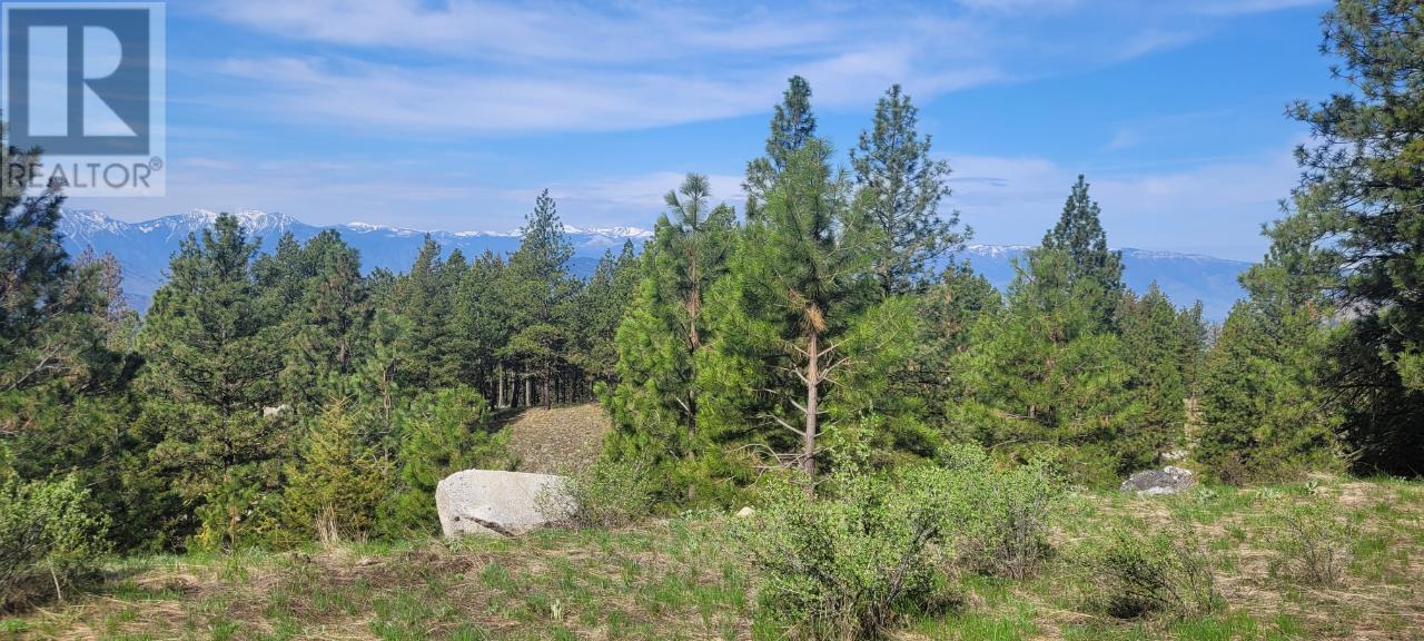 LOT 4 PEREGRINE Court - Osoyoos Other for sale(10313932) #7