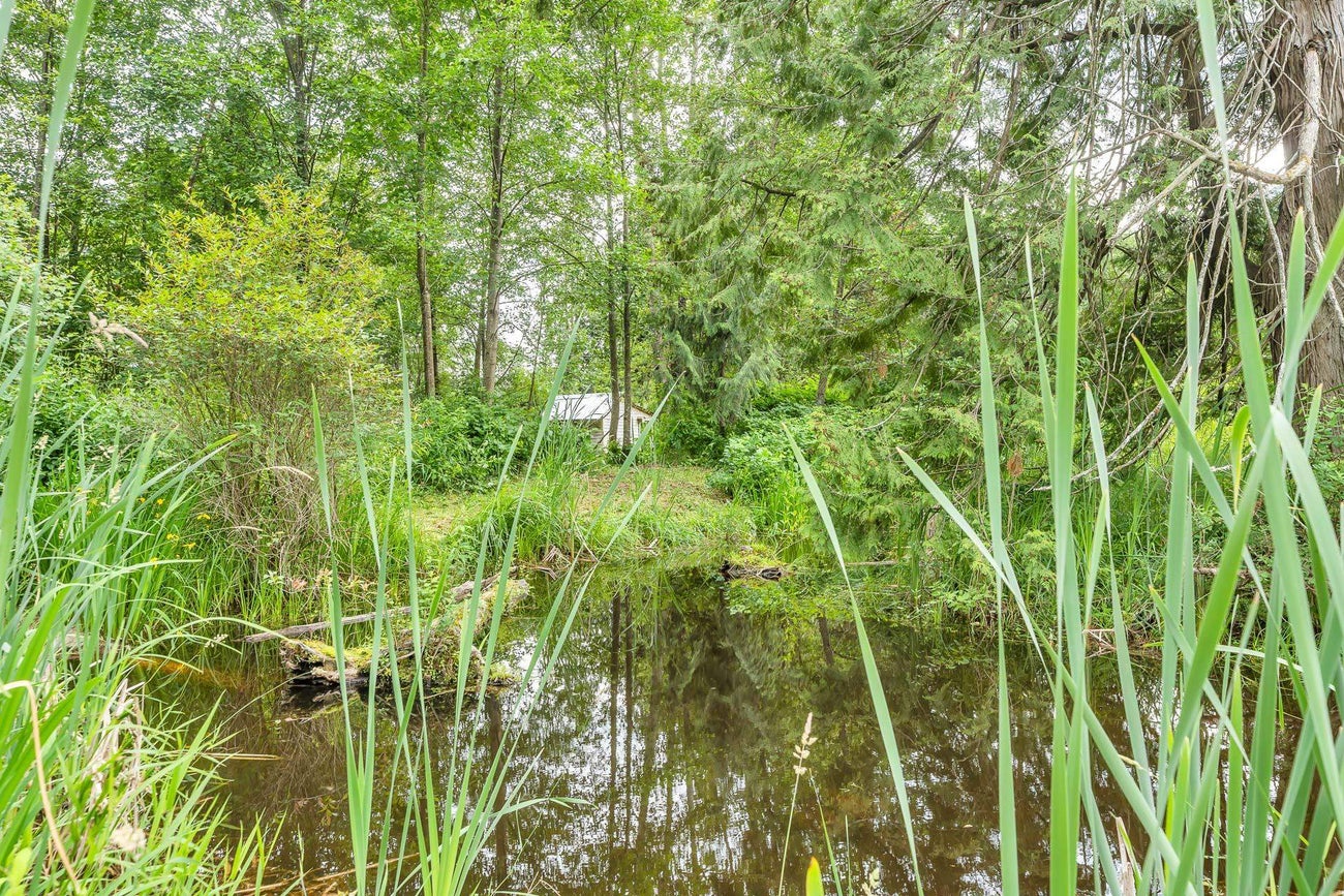 12022 HODGKIN ROAD - Lake Errock House/Single Family for sale, 3 Bedrooms (R2792610) #33