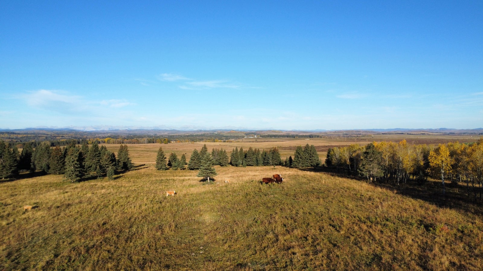 NE-17-24-04-W05M - Rural Rocky View County RLAND