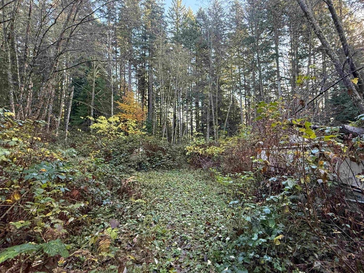 1594 Cemetery Road - Gibsons & Area Land for Sale(R3069291)