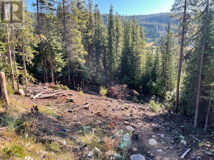 Lot 122 WAPITI CREEK Road - Oliver Other for Sale(201265)
