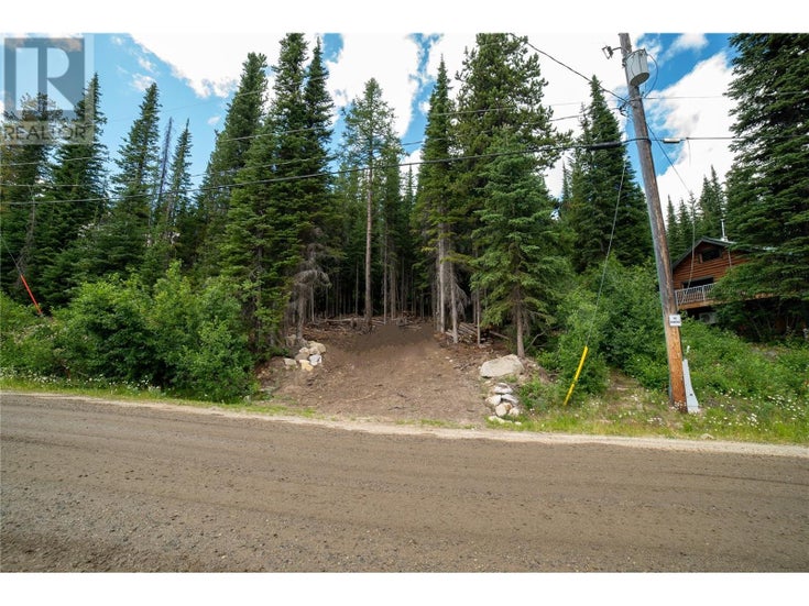 145 Cougar Road - Mount Baldy Other for sale(10324048)