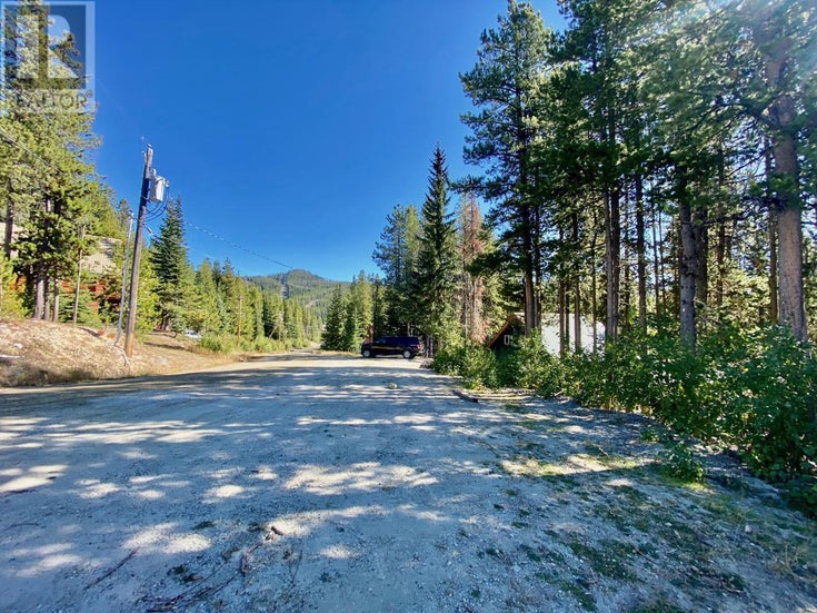 290 COUGAR Road - Mount Baldy Other for Sale(10330206)