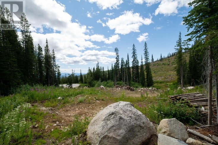 369 Buck Road - Mount Baldy Other for Sale(10331513)