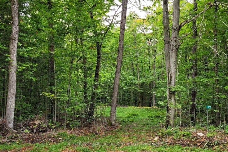320 Proudfoot Road - Joly Vacant Land for Sale(X12075537)
