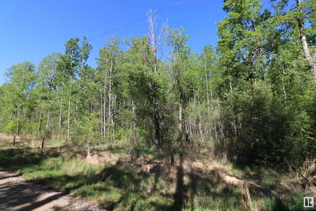 404 54411 RGE RD 40 - rural-lac-ste-anne-county Vacant Lot/Land for Sale(E4431896)