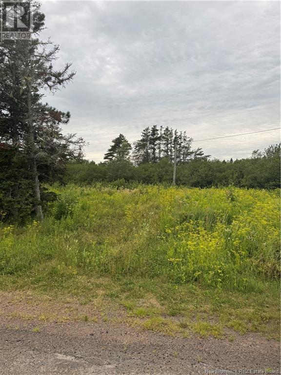 0 Collins Lake Road - Shemogue for Sale(NB123698)