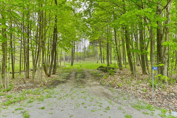 1465 Philipston Rd - Centre Hastings Vacant Land for sale(X8332978)