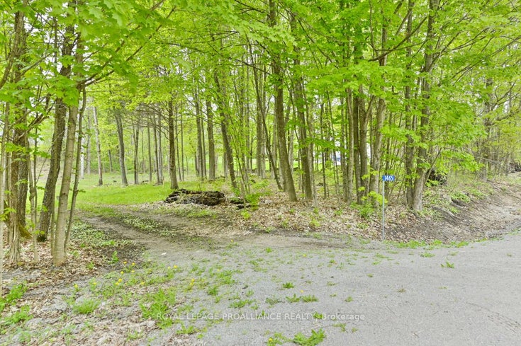 1465 Philipston Rd - Centre Hastings Vacant Land for sale(X9253905)